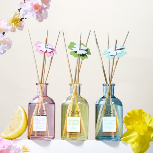 Bouquet Parfumé Agrumes du... 2