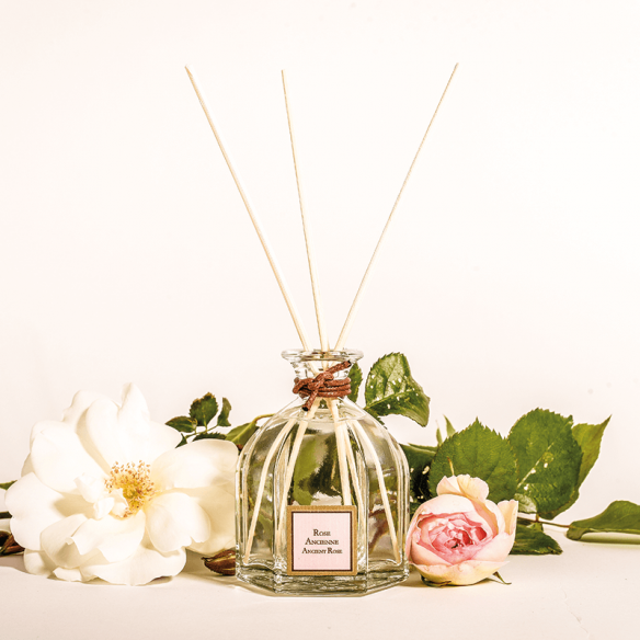 Raumduft-Diffusor Antike Rose