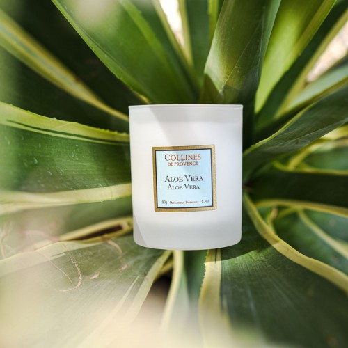 Aloe Vera Scented Candle