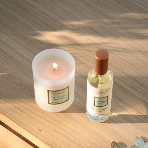 Aloe Vera Scented Candle 2