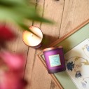 Fig & Aloe Vera Scented Candle