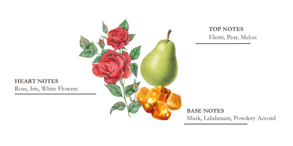 dessin pyramide olfactive mandarine et yuzu