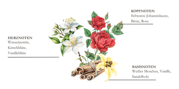 Dessin de pin, thym et bois flott&eacute;