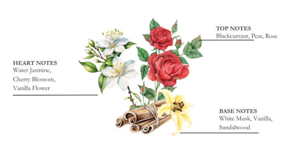 Dessin de pin, thym et bois flott&eacute;