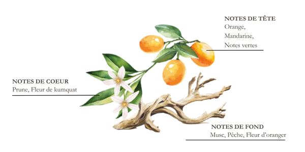 Dessin d'un cerisier en Fleur