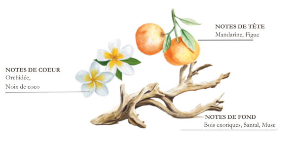 Dessin d'un cerisier en Fleur