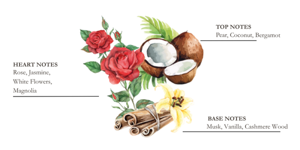 Dessin de pin, thym et bois flott&eacute;